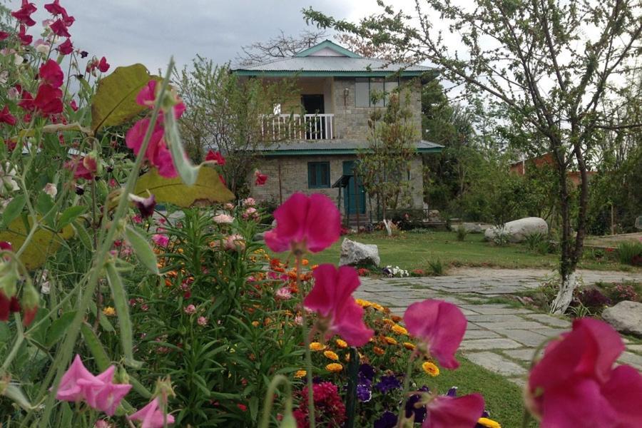 Nagri Resort Palampur Ngoại thất bức ảnh