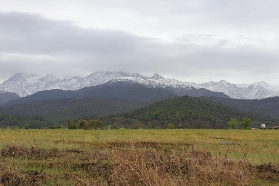 Nagri Resort Palampur Ngoại thất bức ảnh