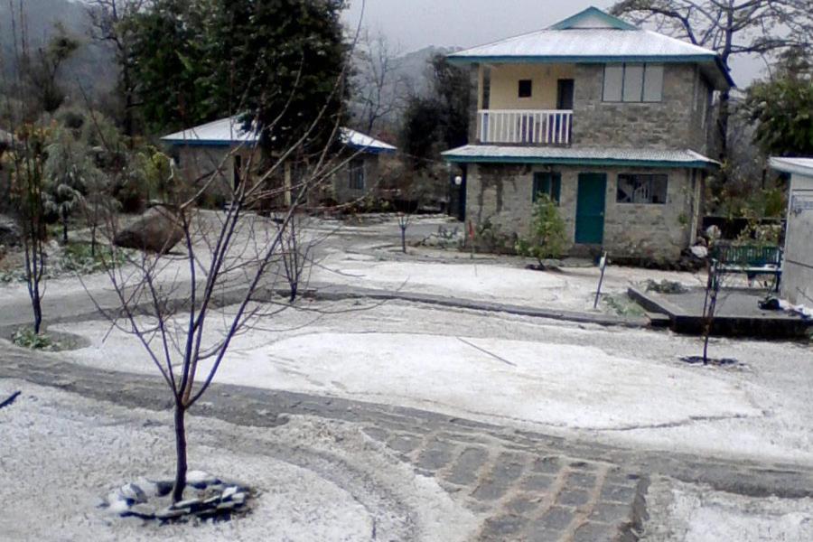 Nagri Resort Palampur Ngoại thất bức ảnh
