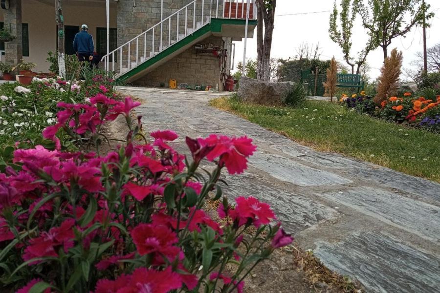 Nagri Resort Palampur Ngoại thất bức ảnh