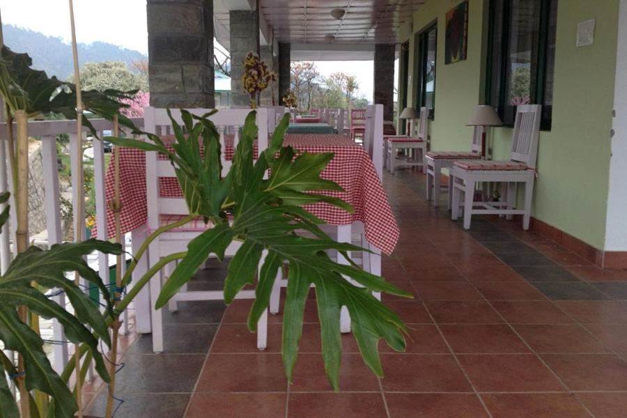 Nagri Resort Palampur Ngoại thất bức ảnh