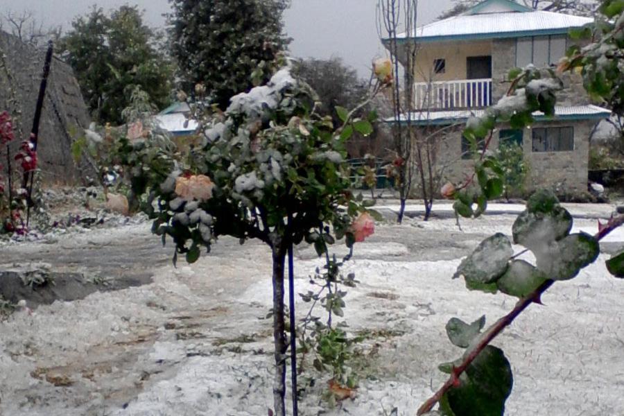 Nagri Resort Palampur Ngoại thất bức ảnh