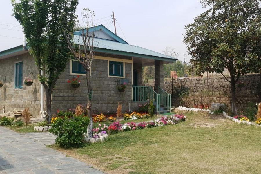 Nagri Resort Palampur Ngoại thất bức ảnh